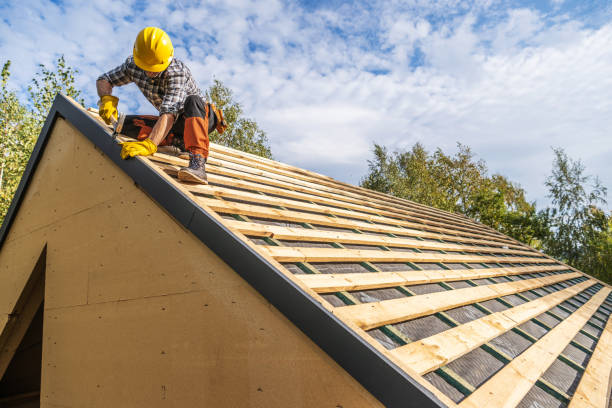 Best Roof Maintenance Services  in Jackson, CA