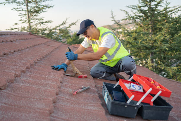 Best Roof Gutter Cleaning  in Jackson, CA